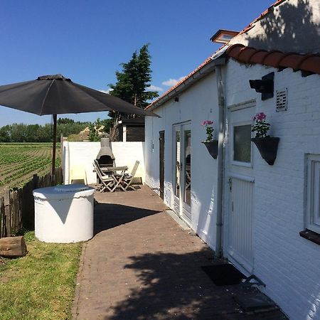 Farmhouse Near Beach Kloosterzande Exterior foto
